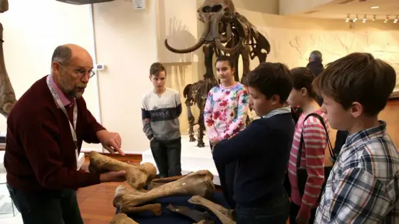 Экскурсия для школьников в Палеонтологический Музей имени Ю.А. Орлова
